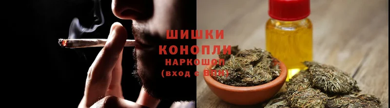 Канабис OG Kush  Заозёрный 